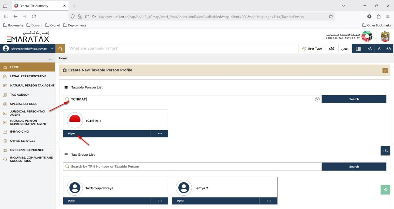 Taxable Person dashboard showing VAT details, the E-Invoicing menu and TIN link